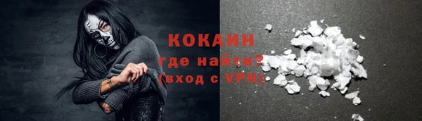 прущая мука Вяземский
