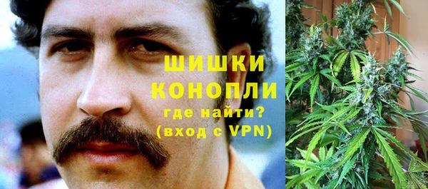 прущая мука Вяземский