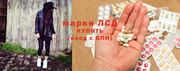 прущая мука Вяземский
