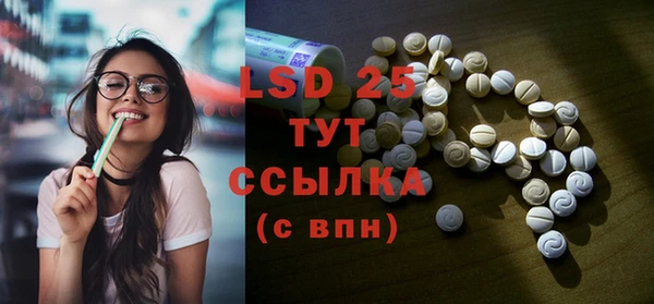 прущая мука Вяземский
